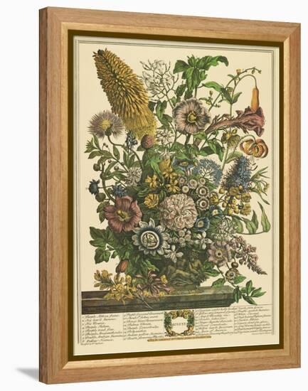 August-Robert Furber-Framed Stretched Canvas