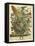 August-Robert Furber-Framed Stretched Canvas