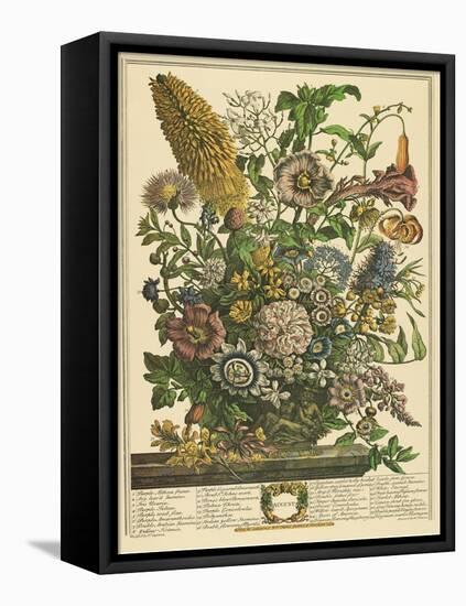 August-Robert Furber-Framed Stretched Canvas