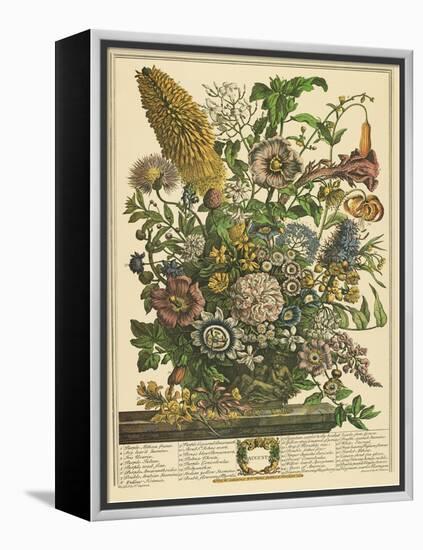 August-Robert Furber-Framed Stretched Canvas