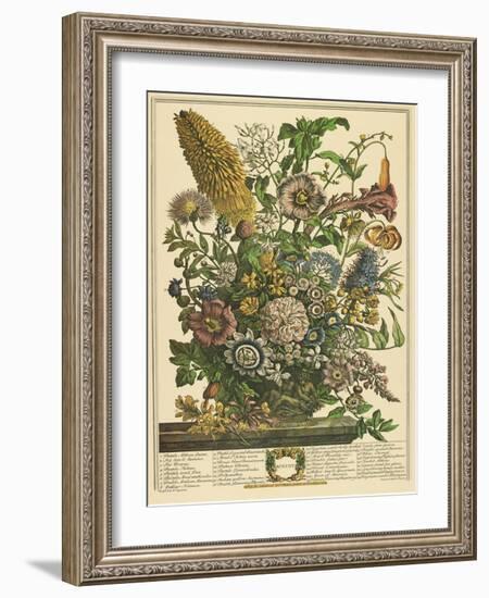 August-Robert Furber-Framed Art Print