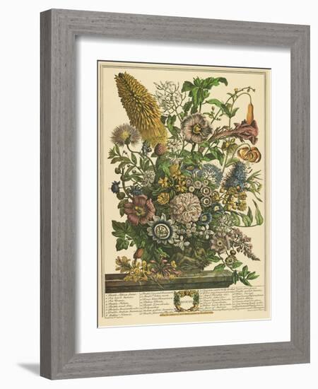 August-Robert Furber-Framed Art Print