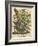 August-Robert Furber-Framed Art Print