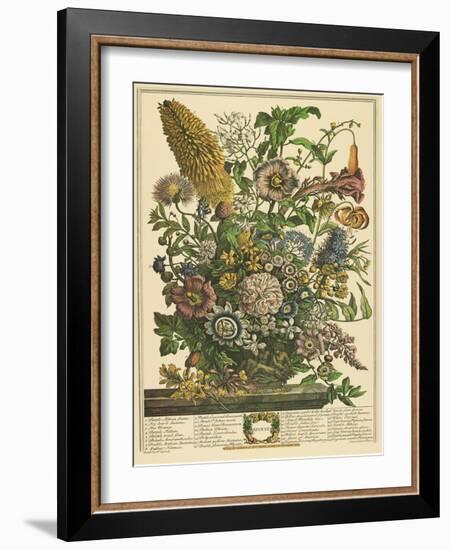 August-Robert Furber-Framed Art Print