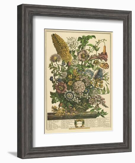 August-Robert Furber-Framed Art Print