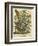 August-Robert Furber-Framed Art Print