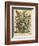 August-Robert Furber-Framed Art Print