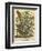 August-Robert Furber-Framed Art Print