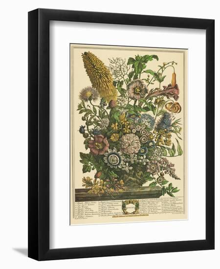 August-Robert Furber-Framed Art Print