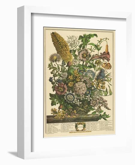 August-Robert Furber-Framed Art Print