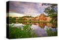 Stretched Canvas Print