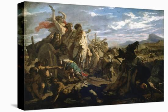 Stretched Canvas Print, , large