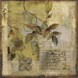 Botanical Extravagance I-Augustine-Stretched Canvas