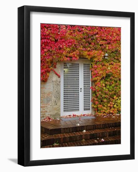 Augustine Door and Ivy-George Johnson-Framed Photographic Print
