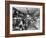 Augustine Kyer Grocery Store Interior, Seattle, 1909-Ashael Curtis-Framed Giclee Print