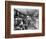 Augustine Kyer Grocery Store Interior, Seattle, 1909-Ashael Curtis-Framed Giclee Print