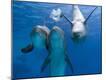 Premium Photographic Print