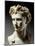 Augustus, 63 BC-14 AD, Roman emperor-null-Mounted Photographic Print