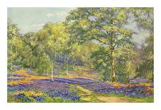 Bluebell Wood-Augustus William Enness-Premium Giclee Print