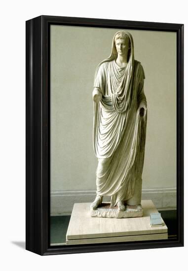 Augustus-null-Framed Premier Image Canvas