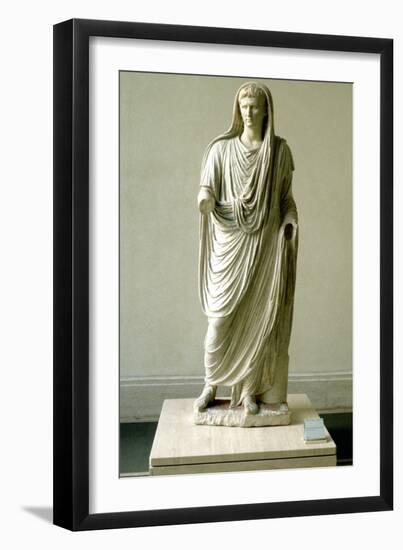 Augustus-null-Framed Photographic Print
