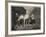 Auld Mare Maggie-John Faed-Framed Giclee Print