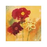 Sunflowers II-Aunaray Carol Clusiau-Framed Giclee Print