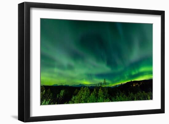 Aura Borealis (Northern lights) in Denali Wilderness National Park, Alaska, USA, North America-Laura Grier-Framed Photographic Print
