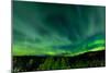 Aura Borealis (Northern lights) in Denali Wilderness National Park, Alaska, USA, North America-Laura Grier-Mounted Photographic Print