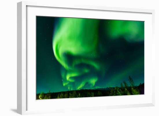 Aura Borealis (Northern lights) in Denali Wilderness National Park, Alaska, USA, North America-Laura Grier-Framed Photographic Print