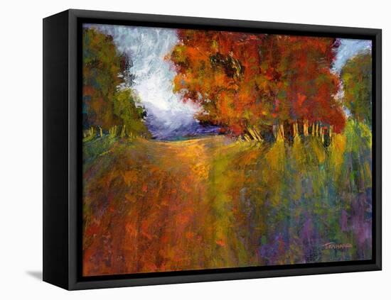 Aura Of Fall I-Michael Tienhaara-Framed Stretched Canvas