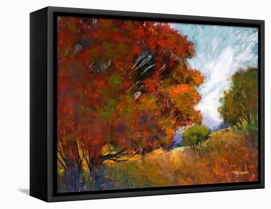 Aura Of Fall II-Michael Tienhaara-Framed Stretched Canvas