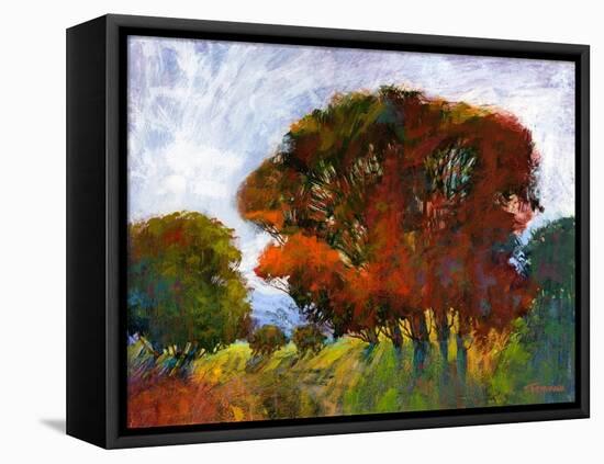 Aura Of Fall IV-Michael Tienhaara-Framed Stretched Canvas