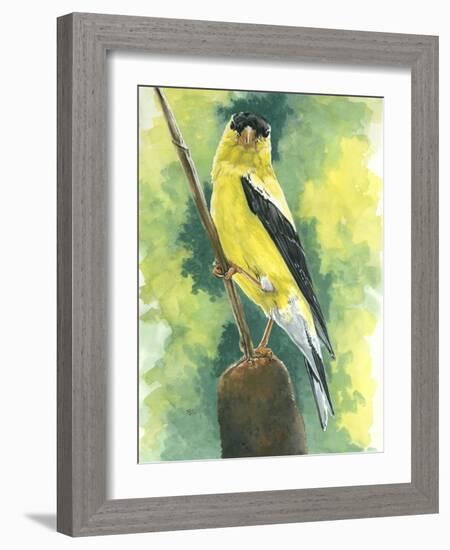 Aureate-Barbara Keith-Framed Giclee Print