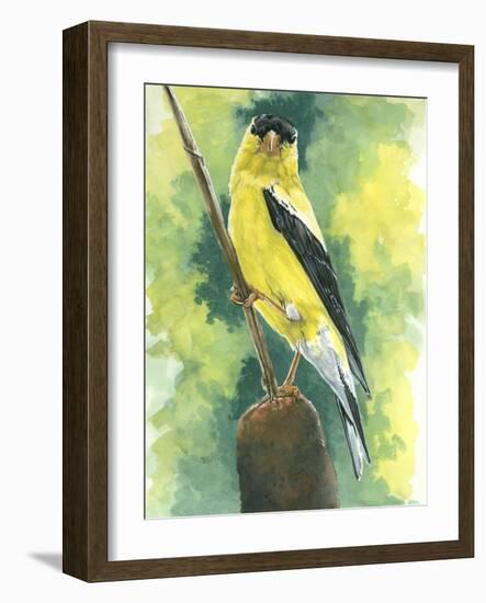 Aureate-Barbara Keith-Framed Giclee Print