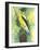 Aureate-Barbara Keith-Framed Giclee Print