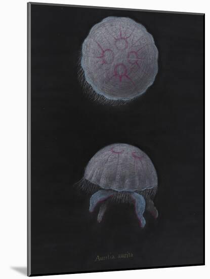 Aurelia Aurita: Moon Jellyfish-Philip Henry Gosse-Mounted Giclee Print