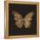 Aurelian Butterfly 1-Morgan Yamada-Framed Stretched Canvas