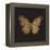 Aurelian Butterfly 1-Morgan Yamada-Framed Stretched Canvas