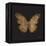 Aurelian Butterfly 1-Morgan Yamada-Framed Stretched Canvas