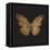 Aurelian Butterfly 1-Morgan Yamada-Framed Stretched Canvas