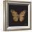 Aurelian Butterfly 1-Morgan Yamada-Framed Art Print