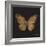Aurelian Butterfly 1-Morgan Yamada-Framed Art Print