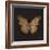 Aurelian Butterfly 1-Morgan Yamada-Framed Art Print