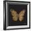 Aurelian Butterfly 1-Morgan Yamada-Framed Art Print