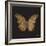 Aurelian Butterfly 1-Morgan Yamada-Framed Art Print