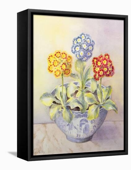 Auricula in a Chinese Pot-Karen Armitage-Framed Premier Image Canvas