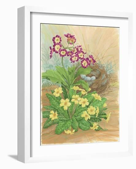 Auricula, Primrose and Nest, 1998-Linda Benton-Framed Giclee Print