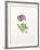 Auricula-Sally Crosthwaite-Framed Giclee Print