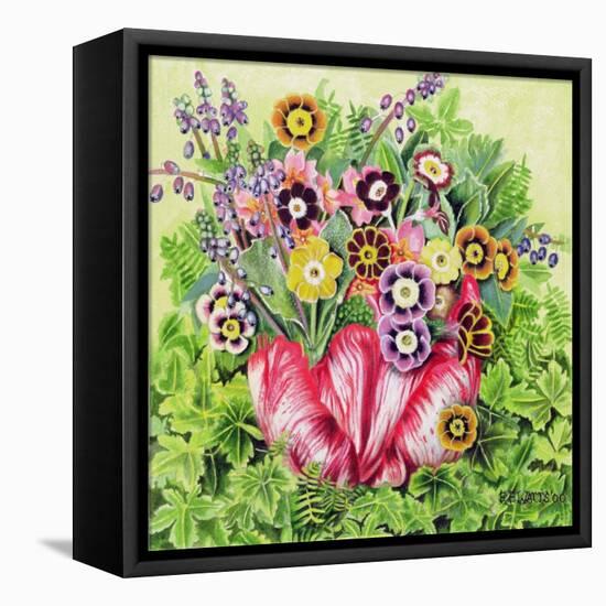 Auriculas, 2000-E.B. Watts-Framed Premier Image Canvas